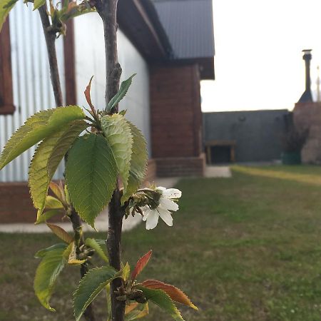 Casa Patagonica Los Frutales El Calafate Luaran gambar