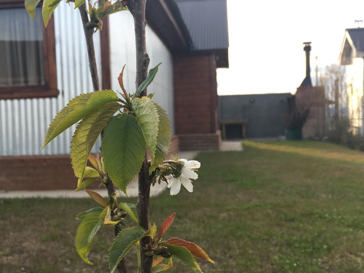 Casa Patagonica Los Frutales El Calafate Luaran gambar